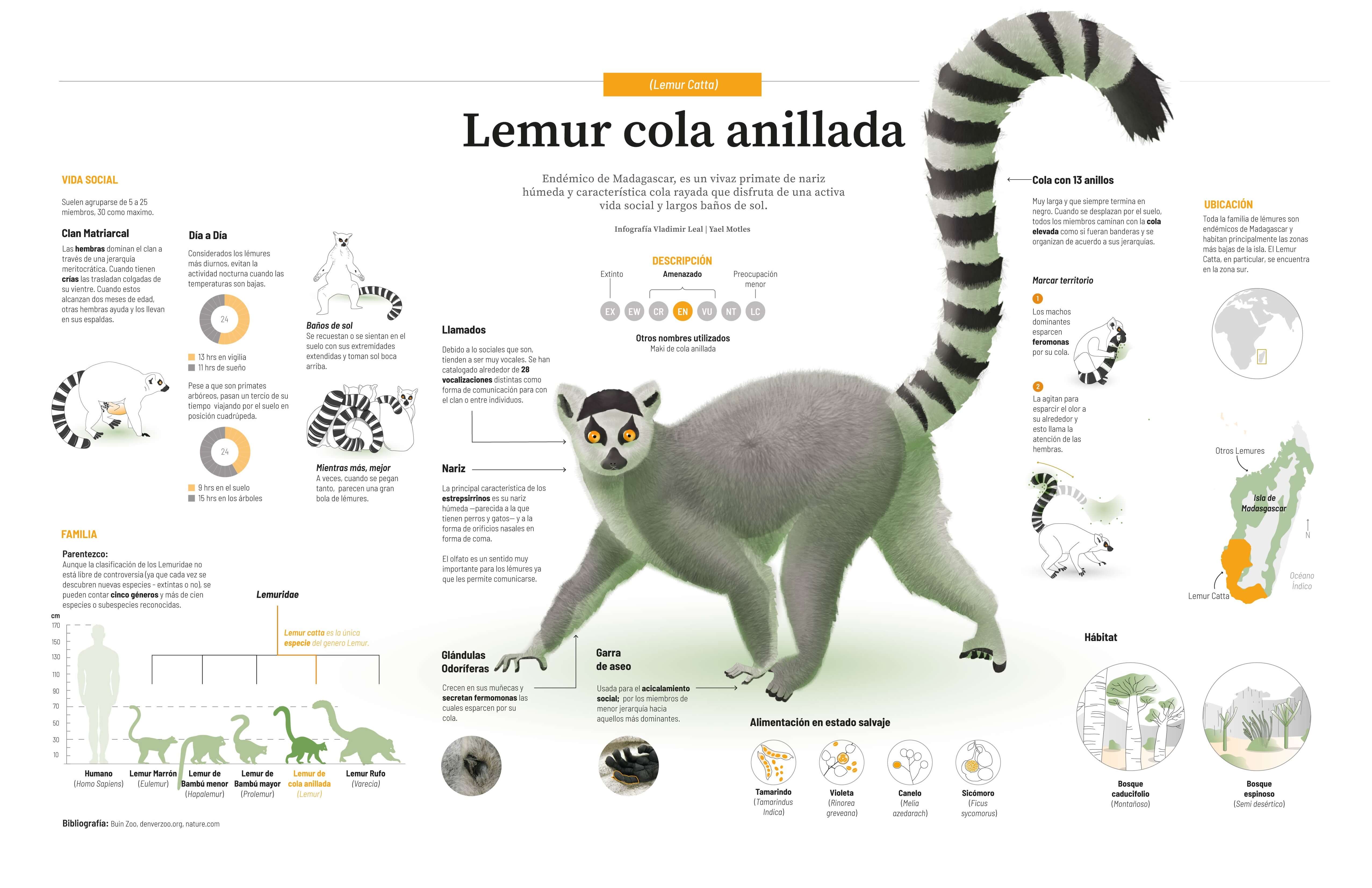 infografía impresa pequeña